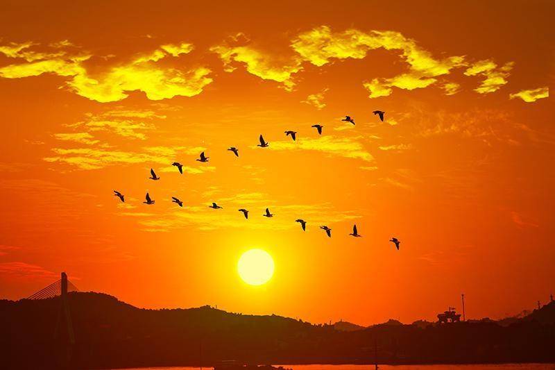 清风文学古典诗词原创区题图日暮西山独凭楼,夕阳如血水东流.