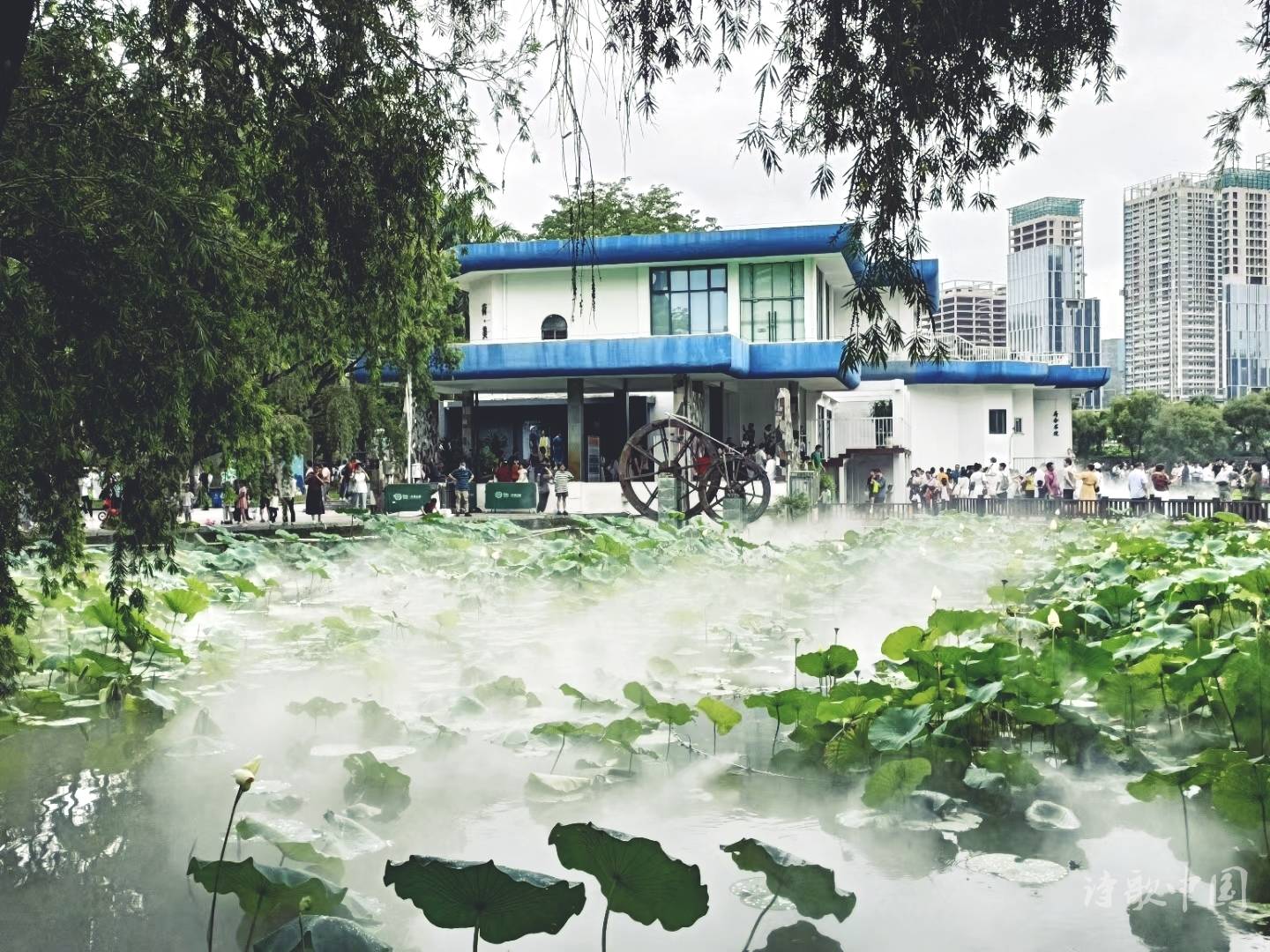 图片3